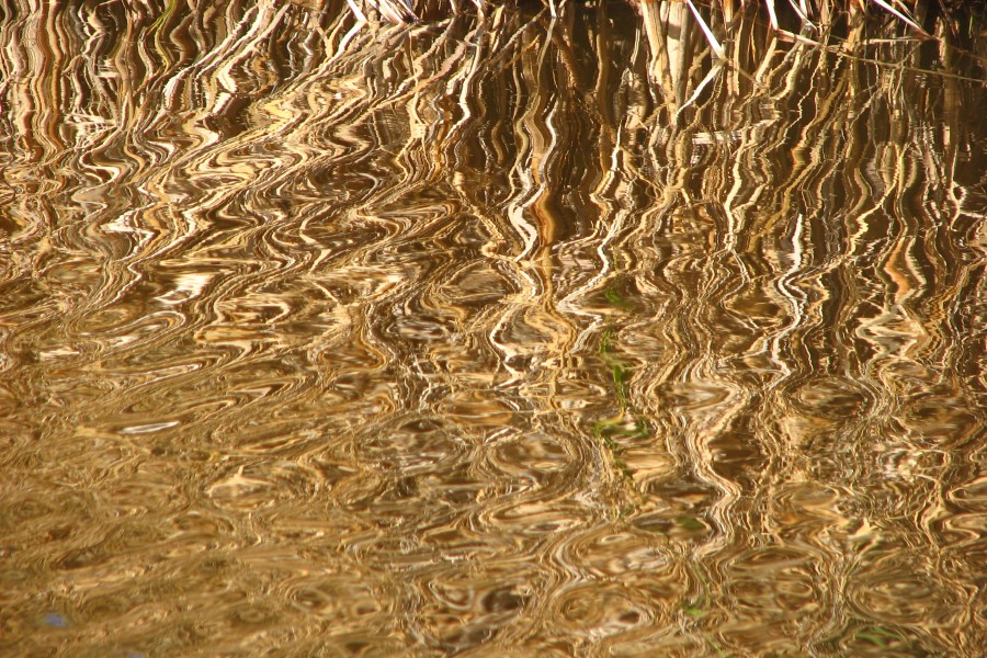 water with brown wavy reflections